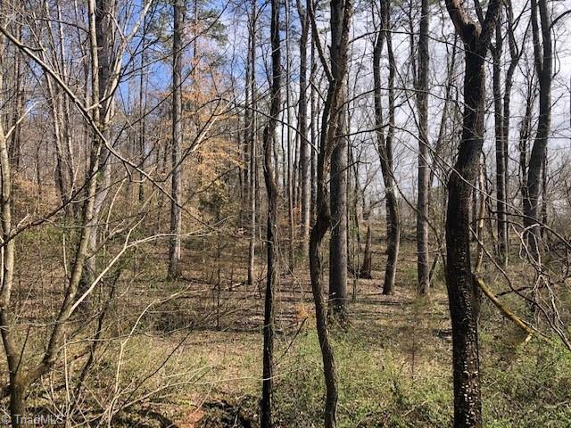 River Ridge Road, Pfafftown, North Carolina image 2