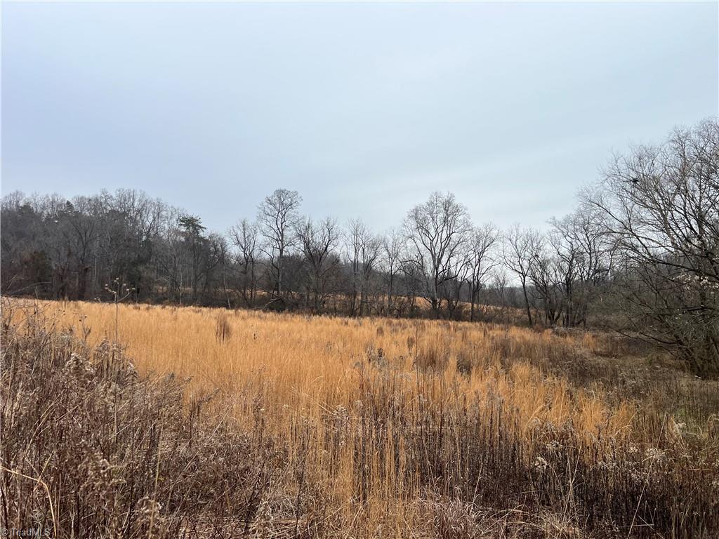 River Ridge Road, Pfafftown, North Carolina image 4