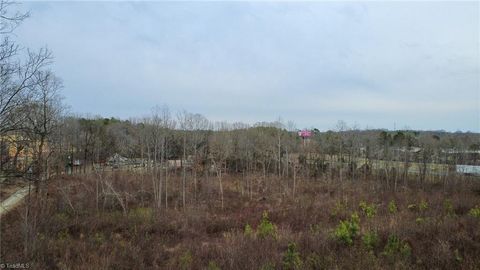 Vacant Land For Sale - Bill Medlin Road<br/> Lexington, NC 27292