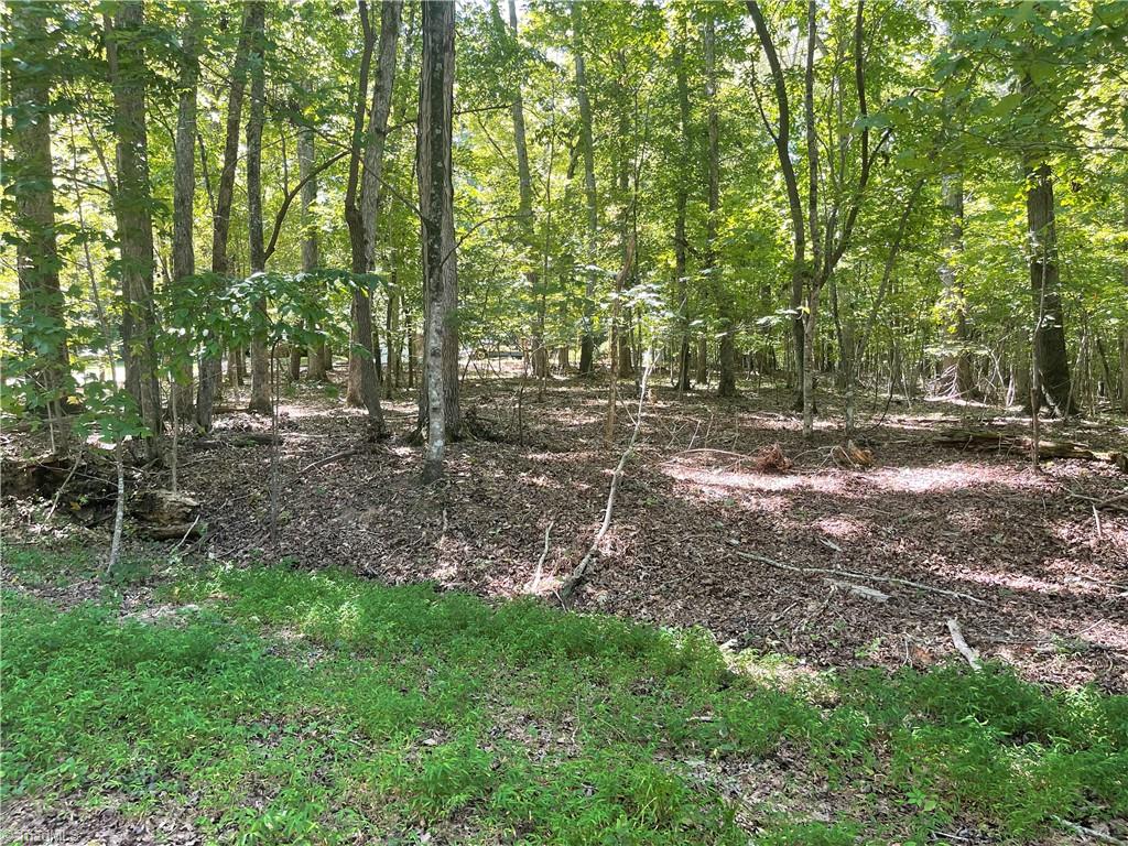 1.37 Acres Ridgeway Drive, Pfafftown, North Carolina image 6