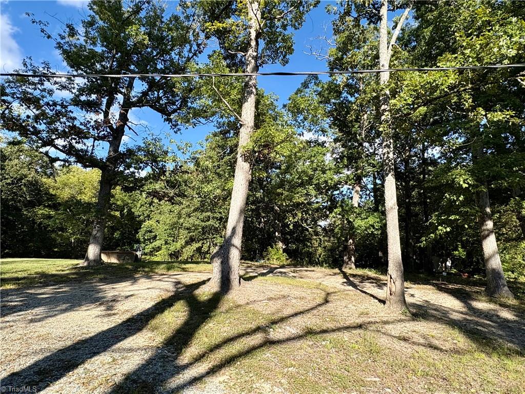 Photo of 1207 Dill Street, High Point, NC 27263 (MLS # 1237060)