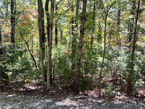 Vacant Land For Sale - 8 Laurel Road<br/> Purlear, NC 28665