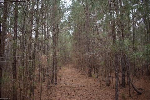 Vacant Land For Sale - 257 Piney Grove Church Road<br/> Siler City, NC 27344