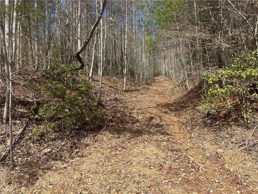 000 Sunset Drive, North Wilkesboro, North Carolina image 2