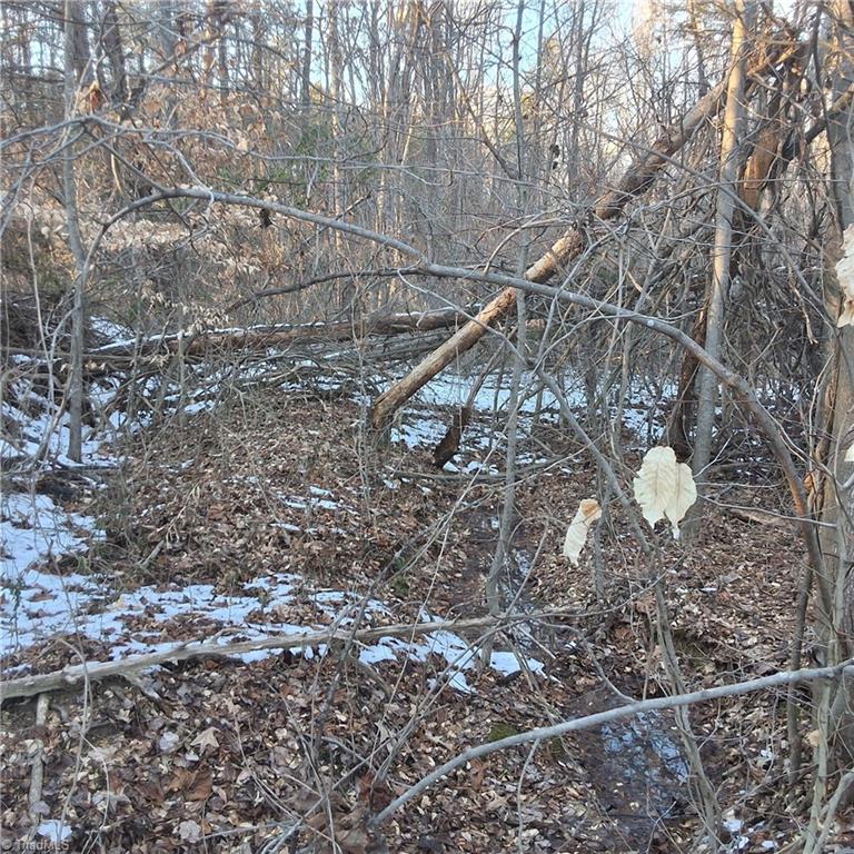 00 Narrow Gauge Road, Reidsville, North Carolina image 7