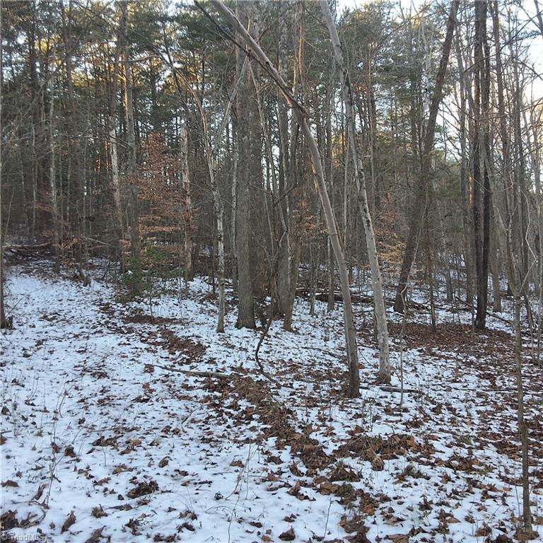 00 Narrow Gauge Road, Reidsville, North Carolina image 8