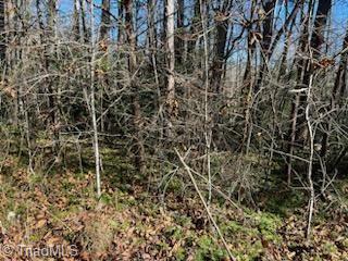 Lot 7 Stevens Drive, Jonesville, North Carolina image 5