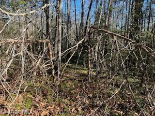 Lot 7 Stevens Drive, Jonesville, North Carolina image 6