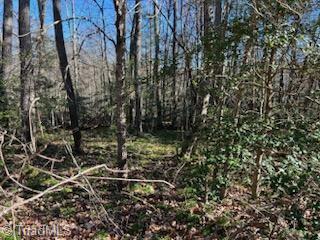 Lot 7 Stevens Drive, Jonesville, North Carolina image 4