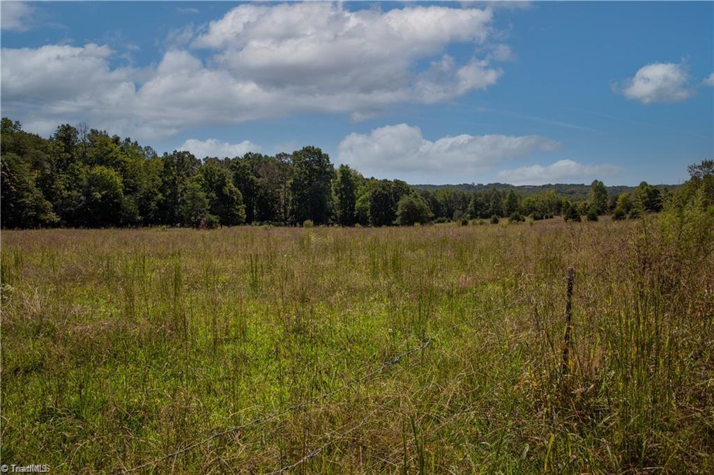 7315 Plunkett Road, Belews Creek, North Carolina image 8