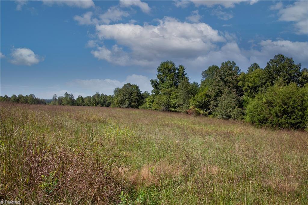 7315 Plunkett Road, Belews Creek, North Carolina image 9