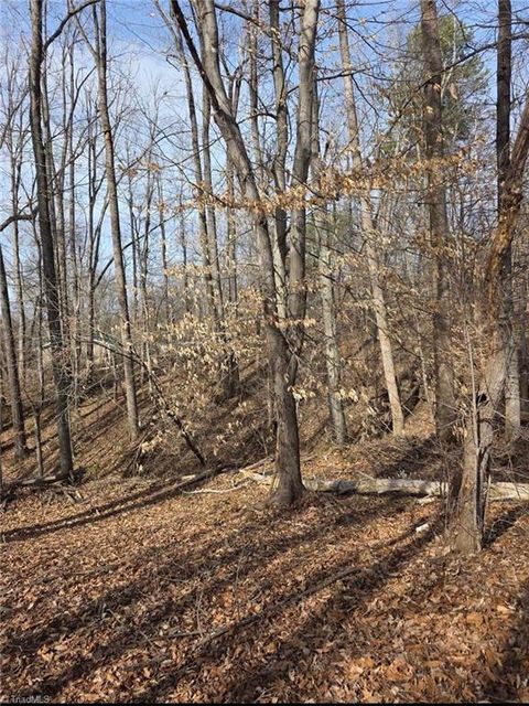 Vacant Land For Sale - 1065 Cedar Lane<br/> Rockingham County, Reidsville, NC 27320