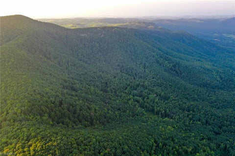 Vacant Land For Sale - 671 Ramey Orchard Road<br/> Lowgap, NC 27024