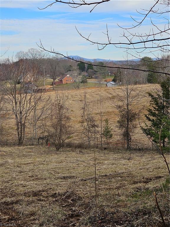 00 Whitaker Chapel Road #2, Pilot Mountain, North Carolina image 6