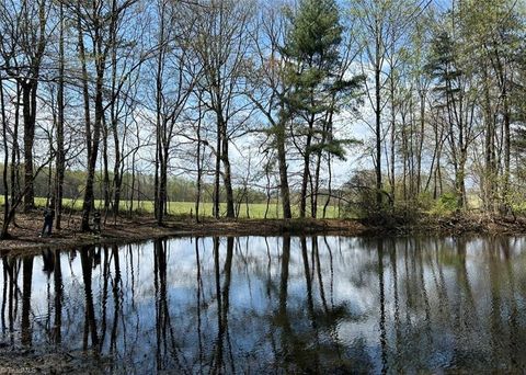 Vacant Land For Sale - TBD Caves Mill Road<br/> Surry County, Dobson, NC 27017