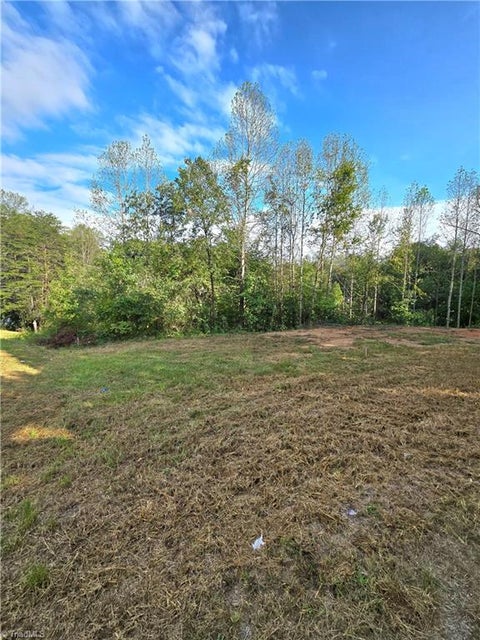 Vacant Land For Sale - 4889 & 0 Oak Branch Lane<br/> Walkertown, NC 27051