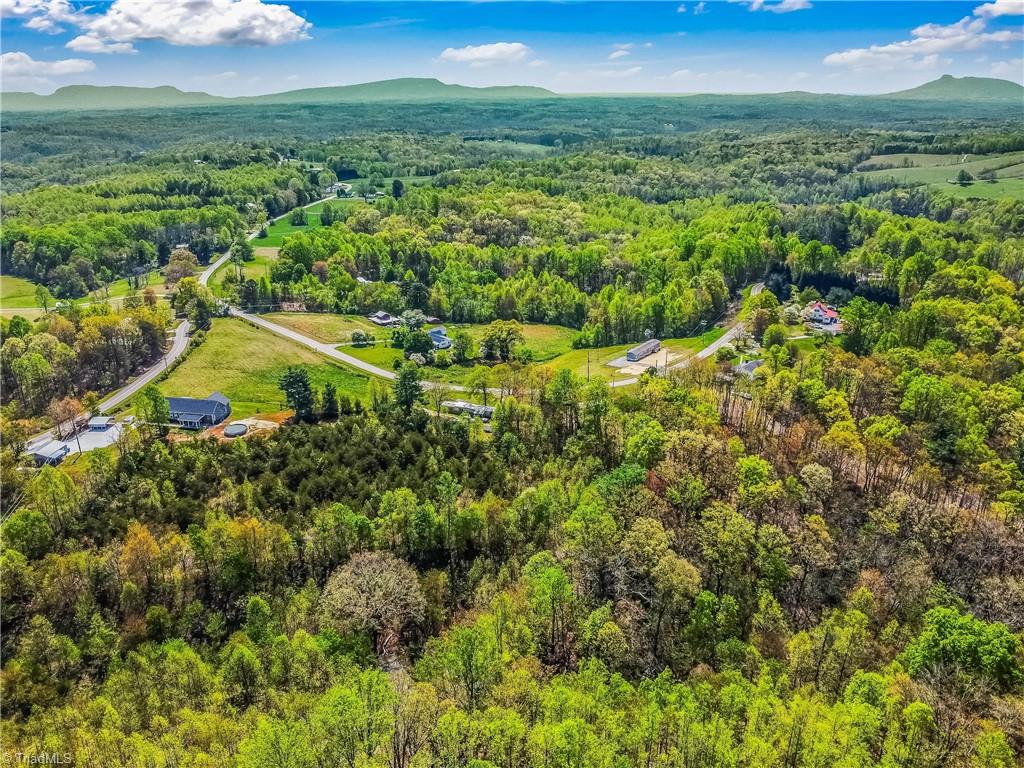 724 Tom Cook Road, Pilot Mountain, North Carolina image 49