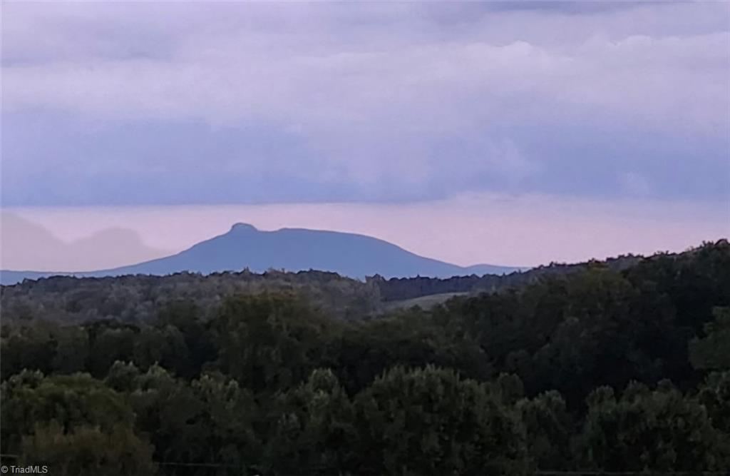 724 Tom Cook Road, Pilot Mountain, North Carolina image 45