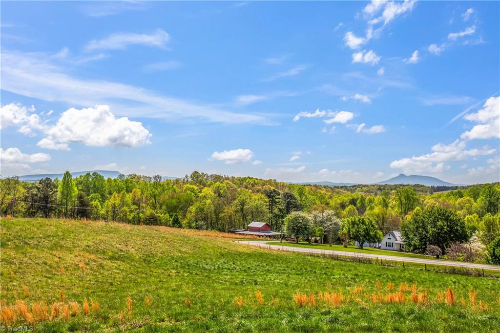 724 Tom Cook Road, Pilot Mountain, North Carolina image 48