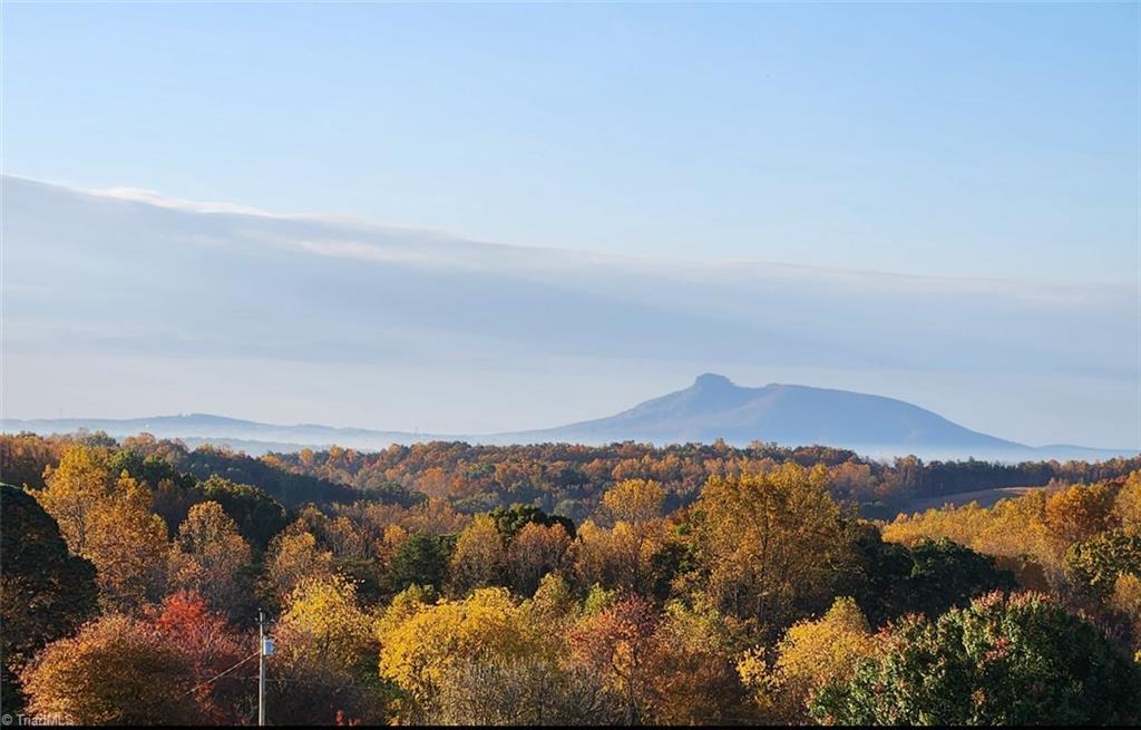 724 Tom Cook Road, Pilot Mountain, North Carolina image 46