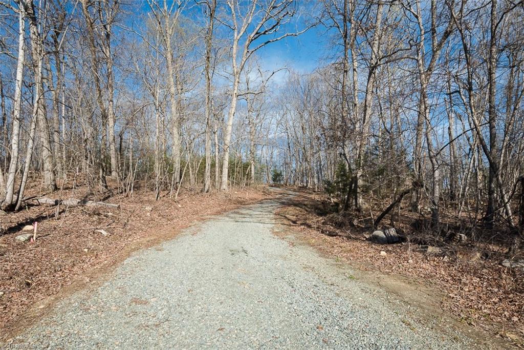 5566 Foothills Court, Snow Camp, North Carolina image 30