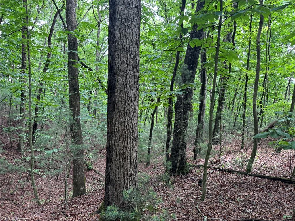 Hg Lewis Road, Thurmond, North Carolina image 16