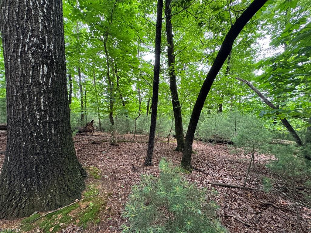 Hg Lewis Road, Thurmond, North Carolina image 18