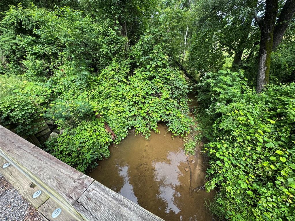 Hg Lewis Road, Thurmond, North Carolina image 21