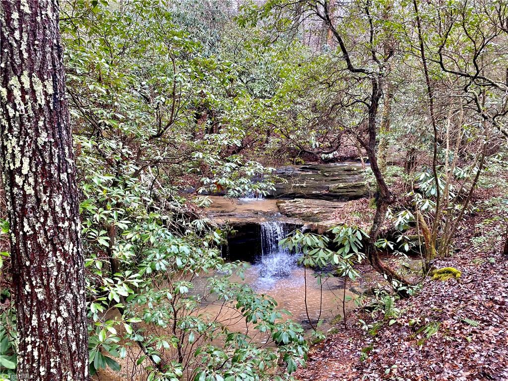 Lot 21 Rosebrier Road, Boomer, North Carolina image 8