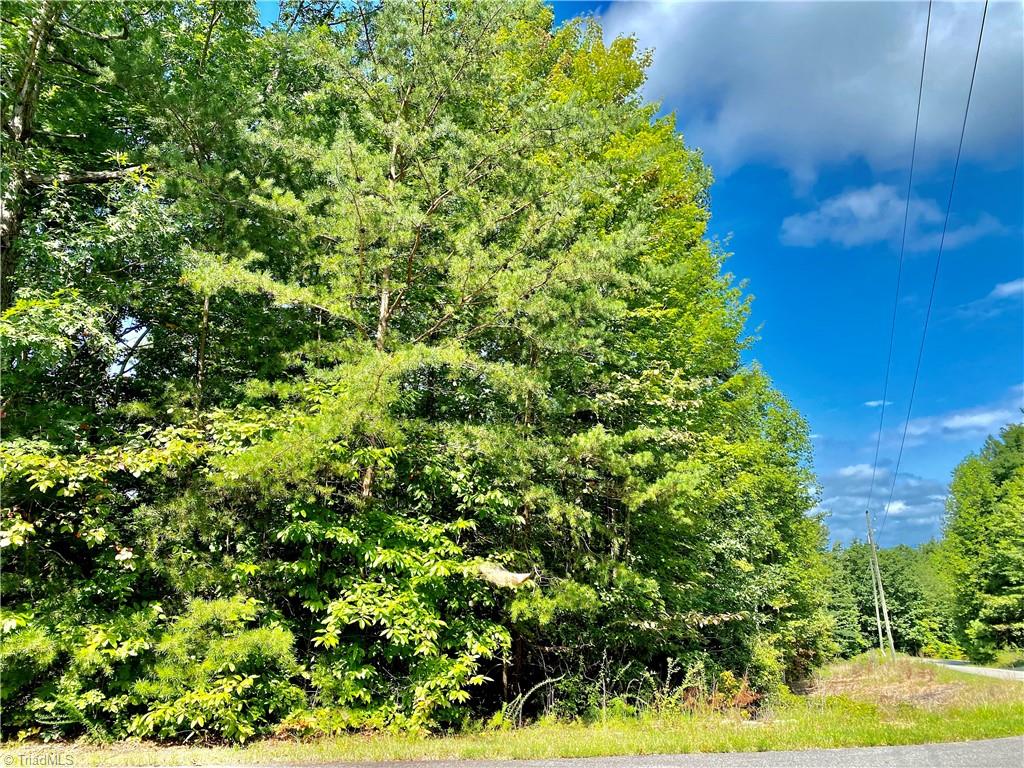 Lot 21 Rosebrier Road, Boomer, North Carolina image 5