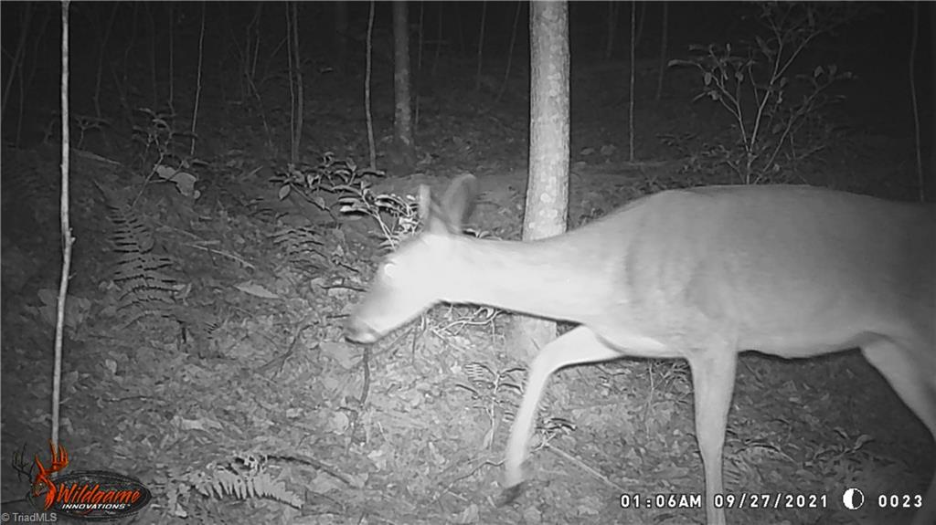 Lot 21 Rosebrier Road, Boomer, North Carolina image 9