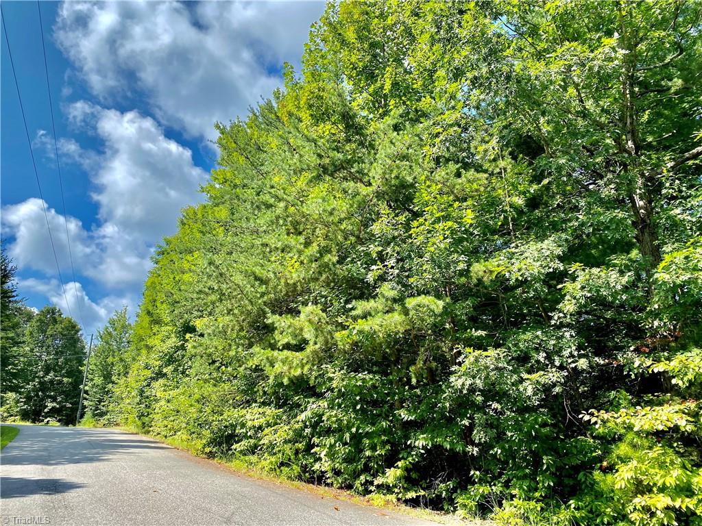 Lot 21 Rosebrier Road, Boomer, North Carolina image 4