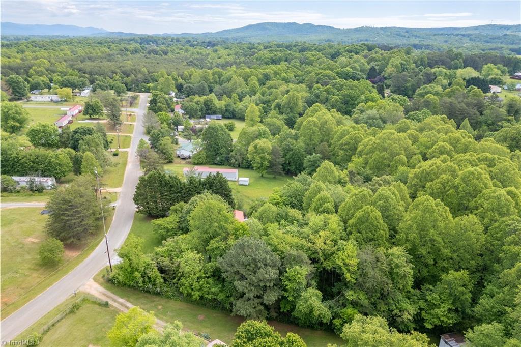 137 W Crosswinds Court, Mount Airy, North Carolina image 40
