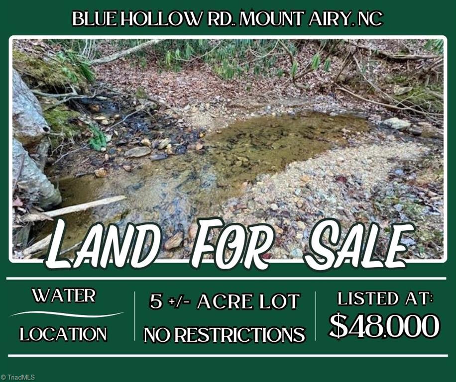 00 Blue Hollow Road, Mount Airy, North Carolina image 1