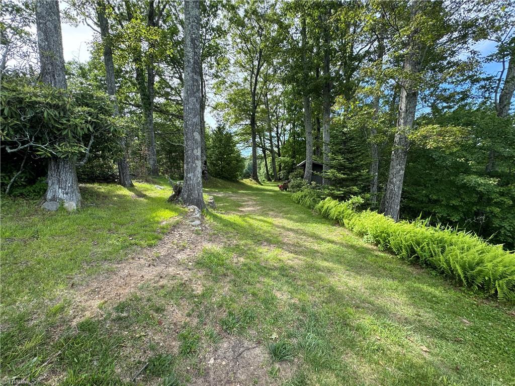 2487 Air Bellows Gap Road, Sparta, North Carolina image 28