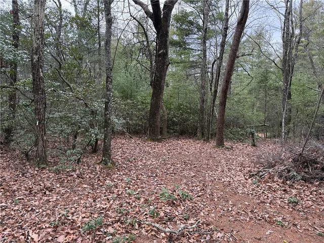 Lot 82 Deer Antler Drive, photo 5 of 35