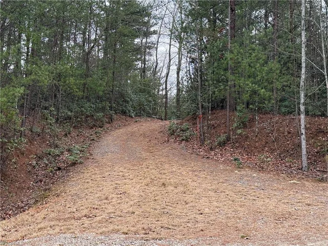 Lot 82 Deer Antler Drive, photo 4 of 35