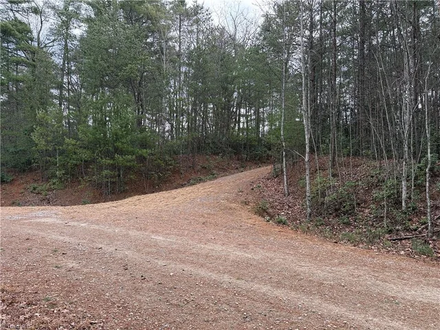 Lot 82 Deer Antler Drive, photo 3 of 35