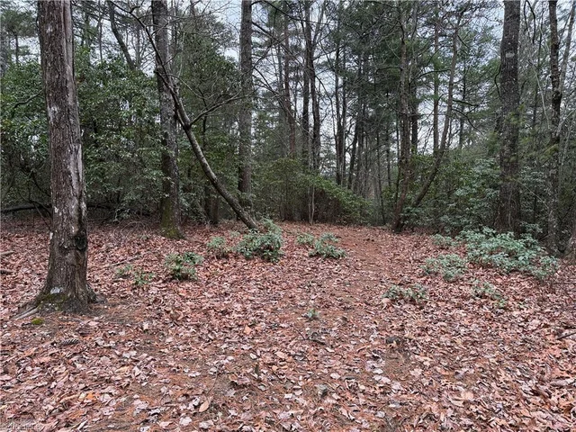 Lot 82 Deer Antler Drive, photo 2 of 35