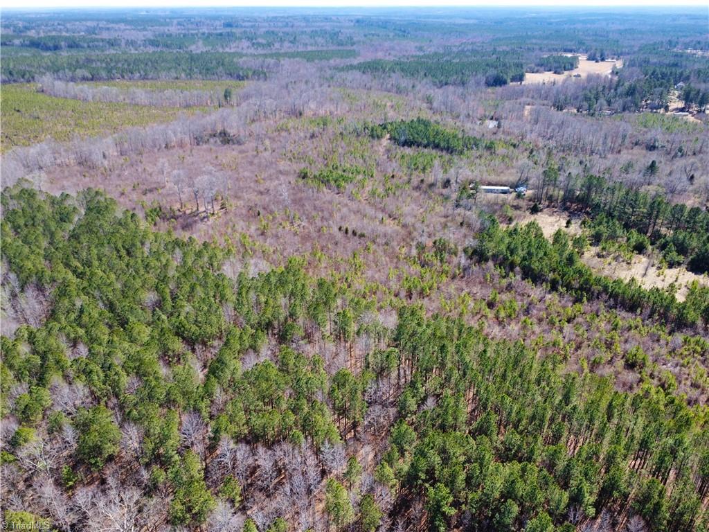 480 Shocco Springs Road, Warrenton, North Carolina image 17
