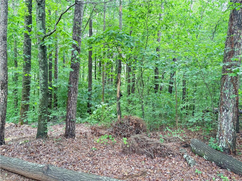 627 Saint Andrews Road, Statesville, North Carolina image 10