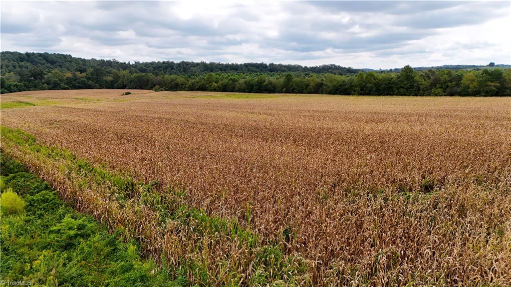 19.313 +/- acres Fisher Valley Road