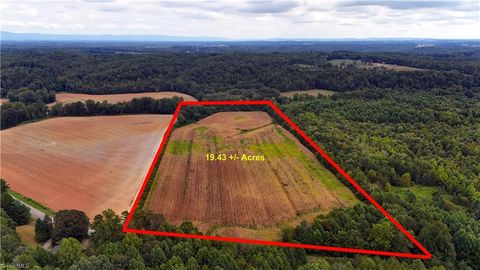 19.313 +/- acres Fisher Valley Road Dobson NC 27017