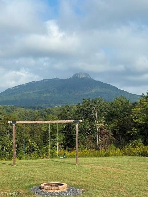 Photo of 1017 Mount Zion Road, Pinnacle, NC 27043 (MLS # 1236242)