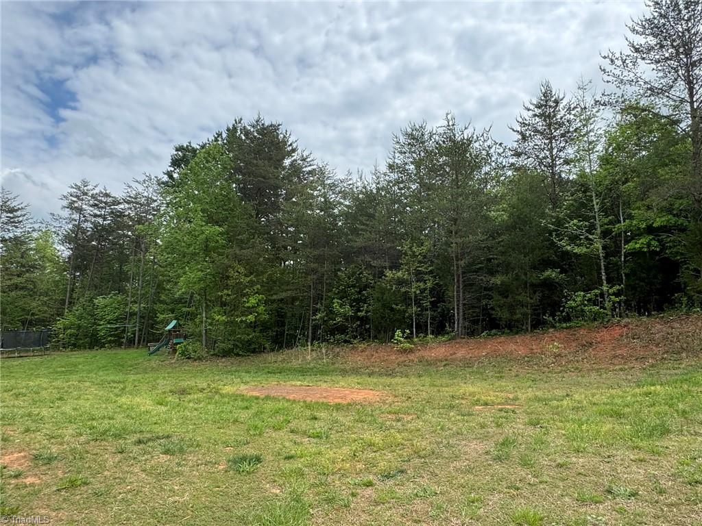 203 Cross Country Chase, Stokesdale, North Carolina image 8