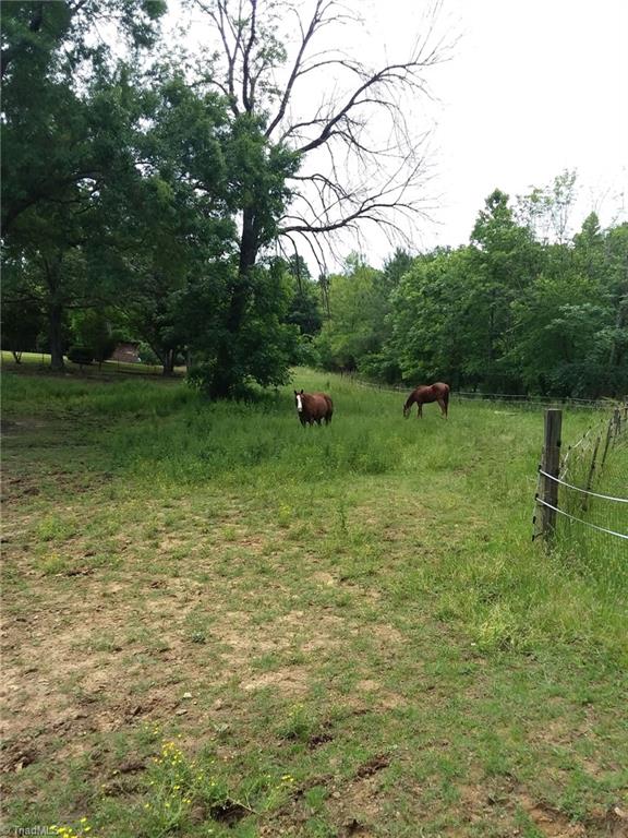 1753 Smith Farm Road, Lexington, North Carolina image 11