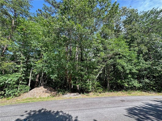 JOHN BYRD RD, MORGANTON, NC 28655 - Image a02f2ac66ca08514aaffbf3ffb2faf18/915528030