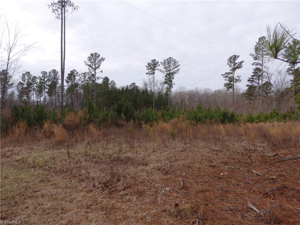 Farmstead Road, Seagrove, North Carolina image 2