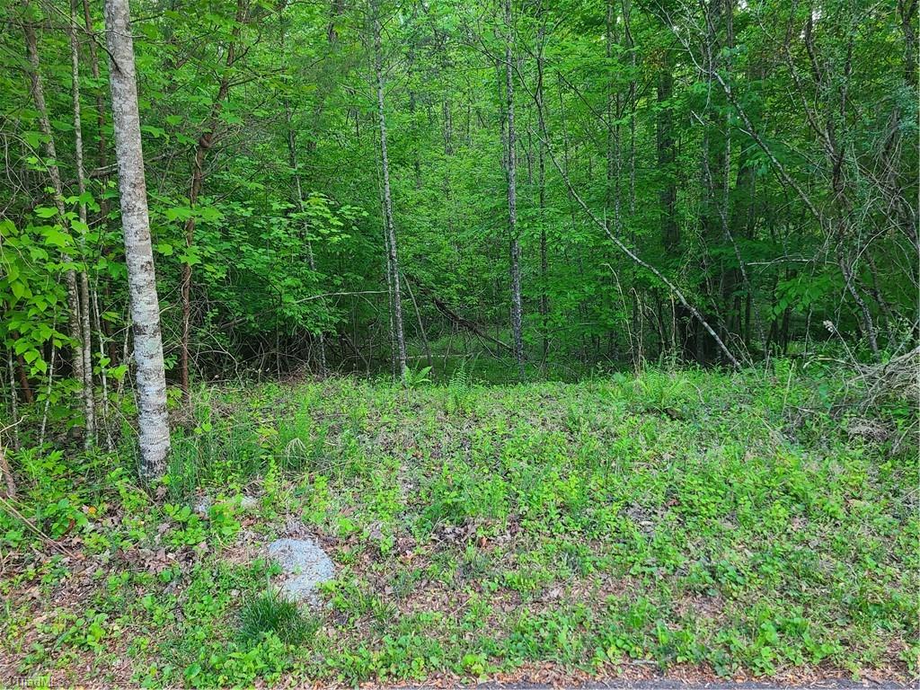 Lot 15 Williams Farm Road, Wilkesboro, North Carolina image 6