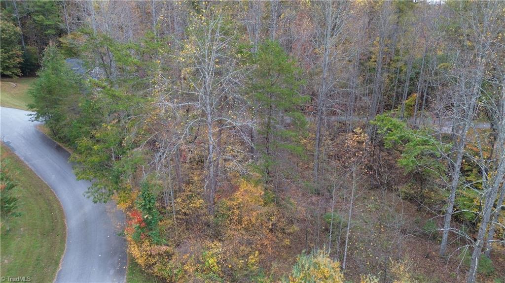 Lot 15 Williams Farm Road, Wilkesboro, North Carolina image 3